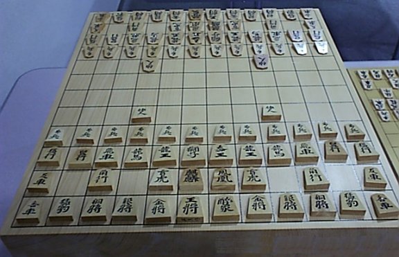 Made my own Chu Shogi board and pieces : r/shogi